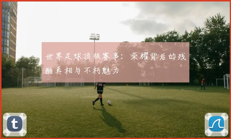 世界足球顶级赛事：荣耀背后的残酷真相与不朽魅力