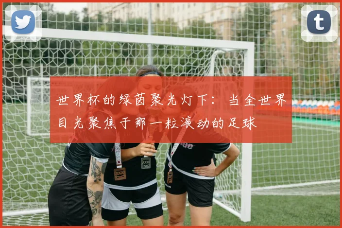 世界杯的绿茵聚光灯下：当全世界目光聚焦于那一粒滚动的足球