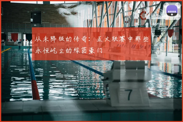 从未降级的传奇：五大联赛中那些永恒屹立的绿茵豪门
